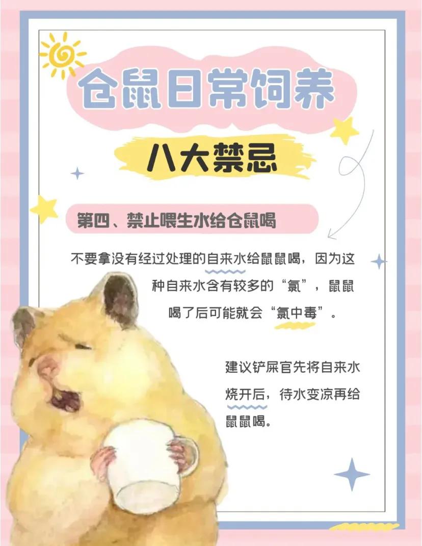 仓鼠忌讳,仓鼠大忌