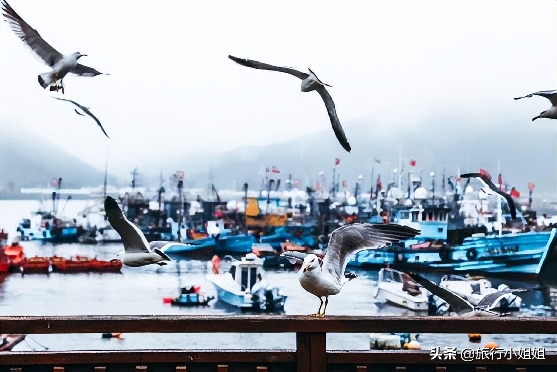 夏日海边微醺氛围感,滨城风光秀丽浪漫气息爆表