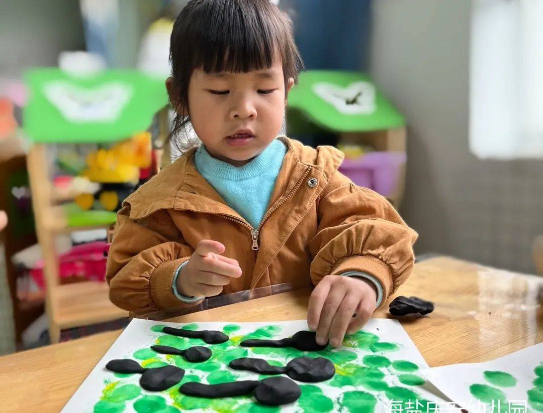 邂逅蝌蚪，感受生命的演变—诺亚舟海盐庆安幼儿园小一班