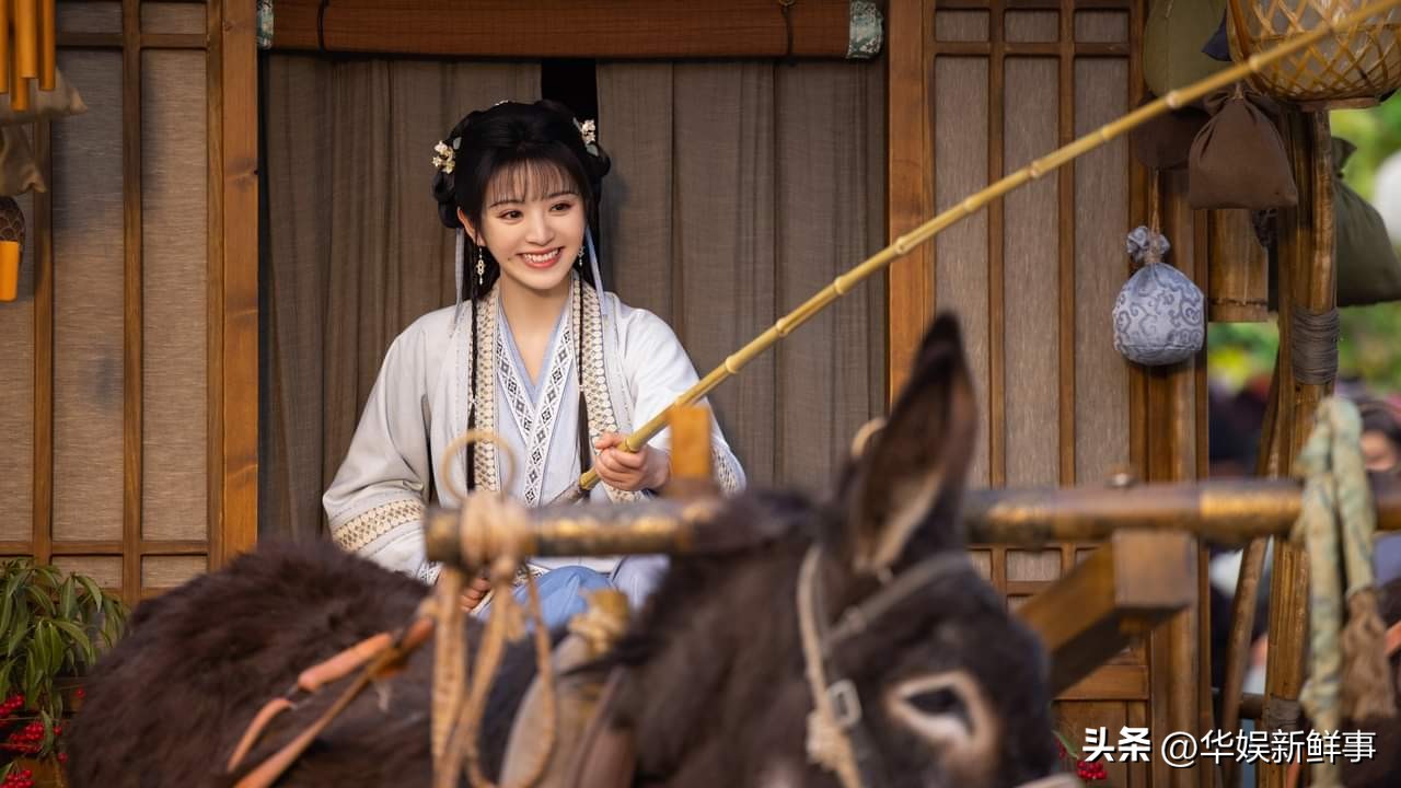 tvb剧集为什么和内地不一样,卿卿日常tvb