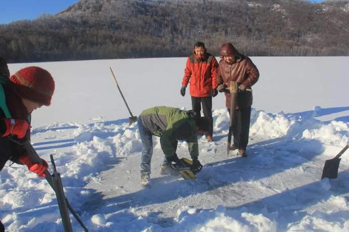 从南到北旅行,从南游到北