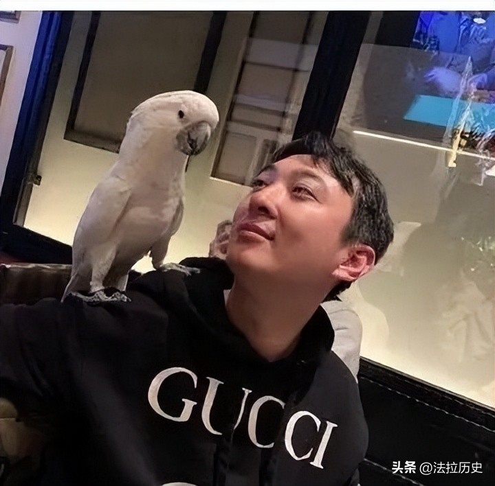 万达成恒大2.0？揭王健林隐藏*局骗**，独子王思聪因此走“不归路”