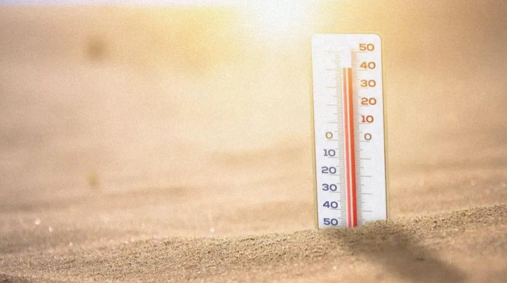 适合广东人的夏季家电选购指南，这三款产品太实用，用过的都说好