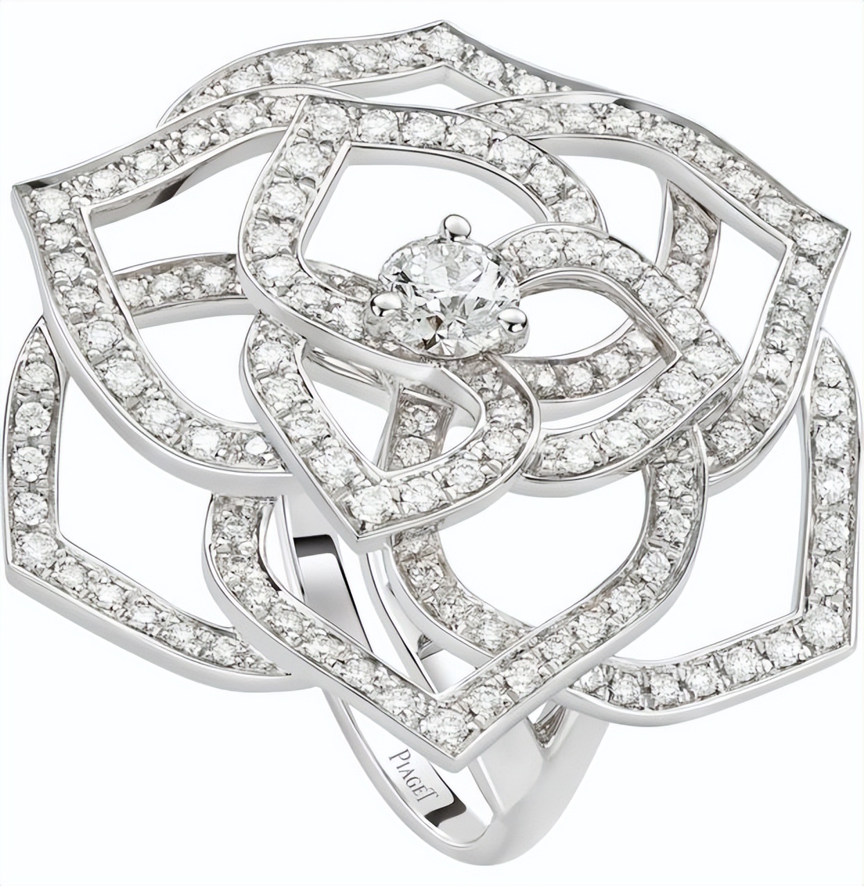 伯爵玫瑰花戒指,伯爵最美的玫瑰花戒指