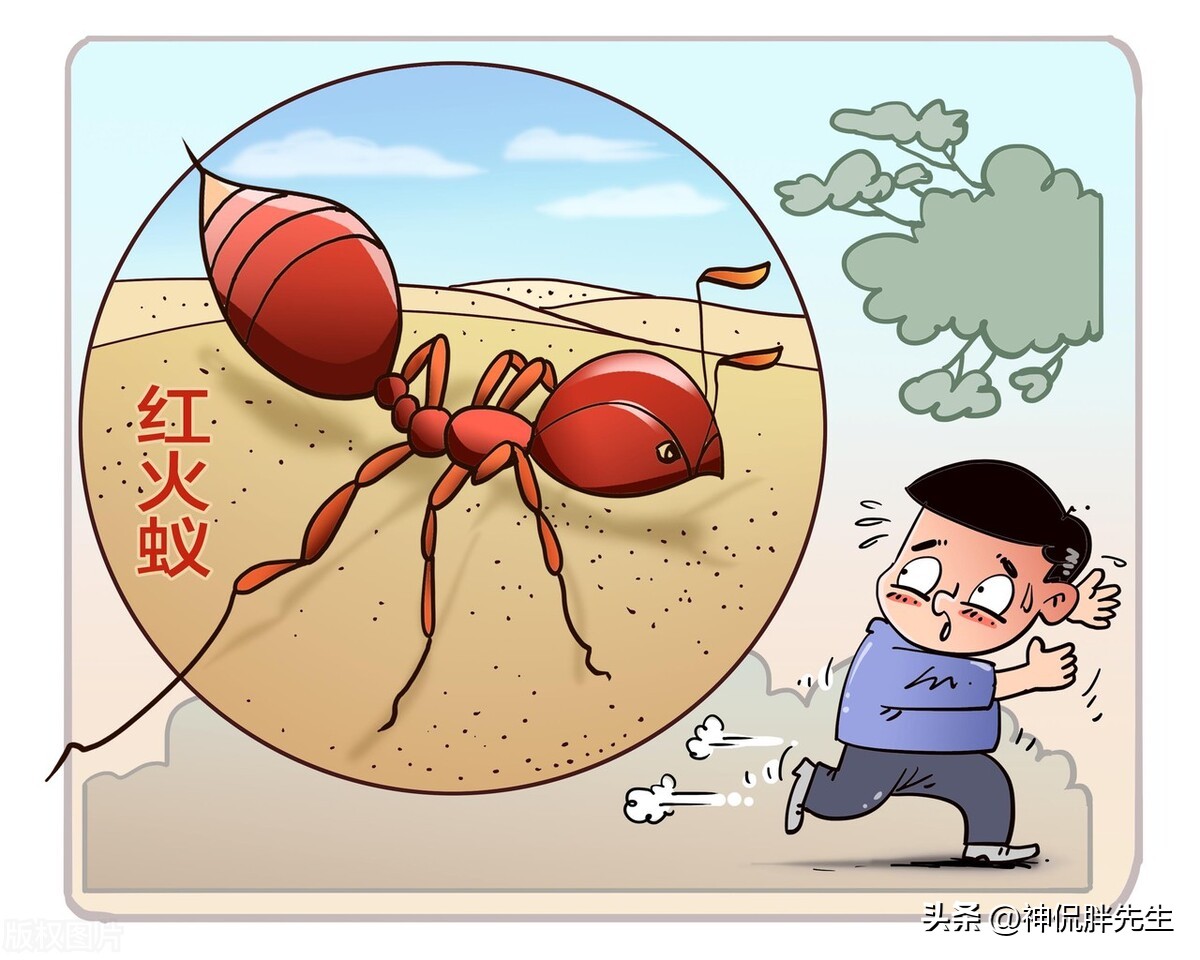 广东飞蚁有多可怕,广东人遇见飞蚁有多可怕