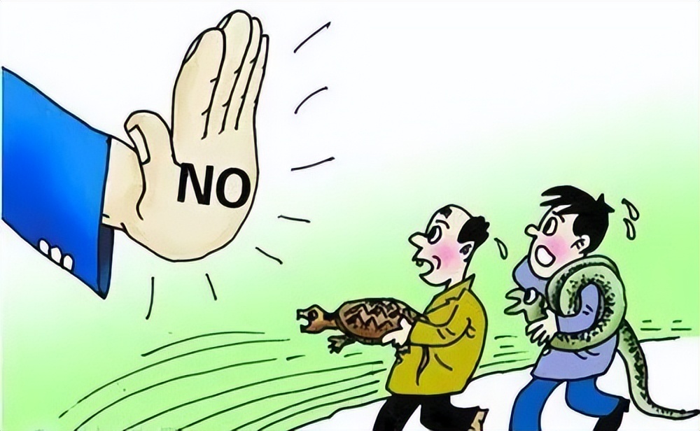 严惩破坏生态行为的后果,破坏生态红线100平立案标准