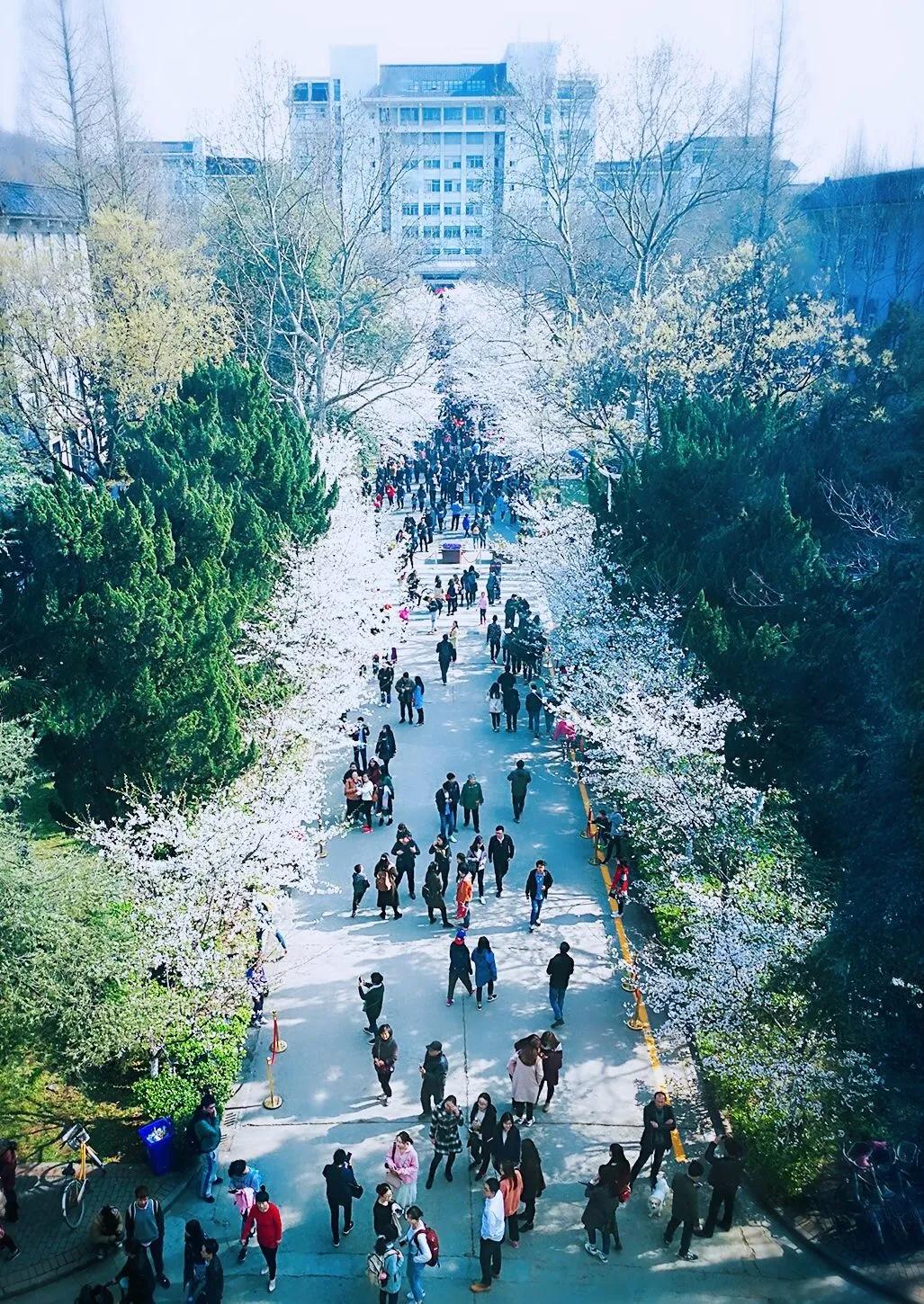 从“三大校”到“双一流”：120年的南京林业大学