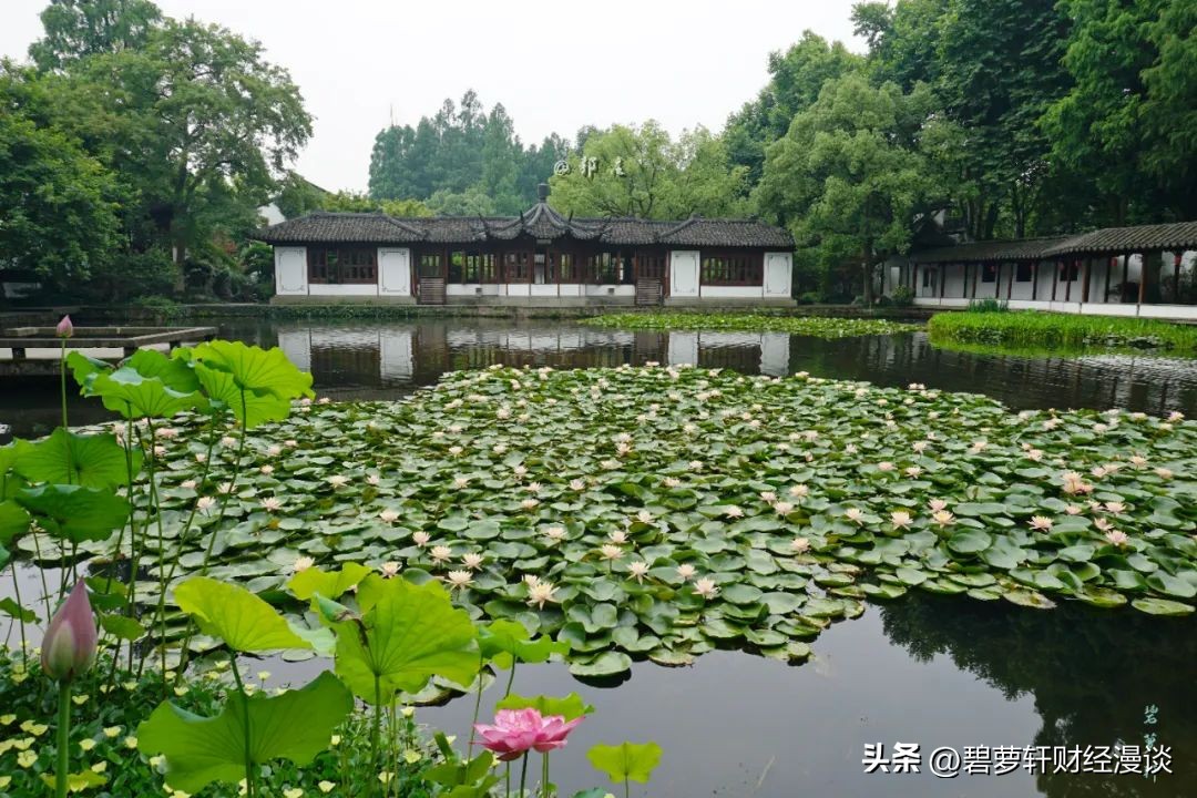 长沙第一波赏荷地图,杭州夏日赏荷地图