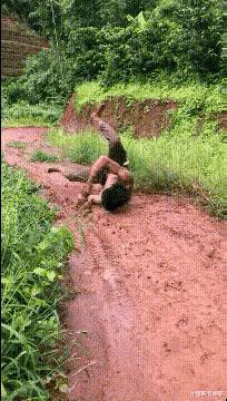 每日一笑：这个测试能说明什么？就这样怼十个手机都得破吧？