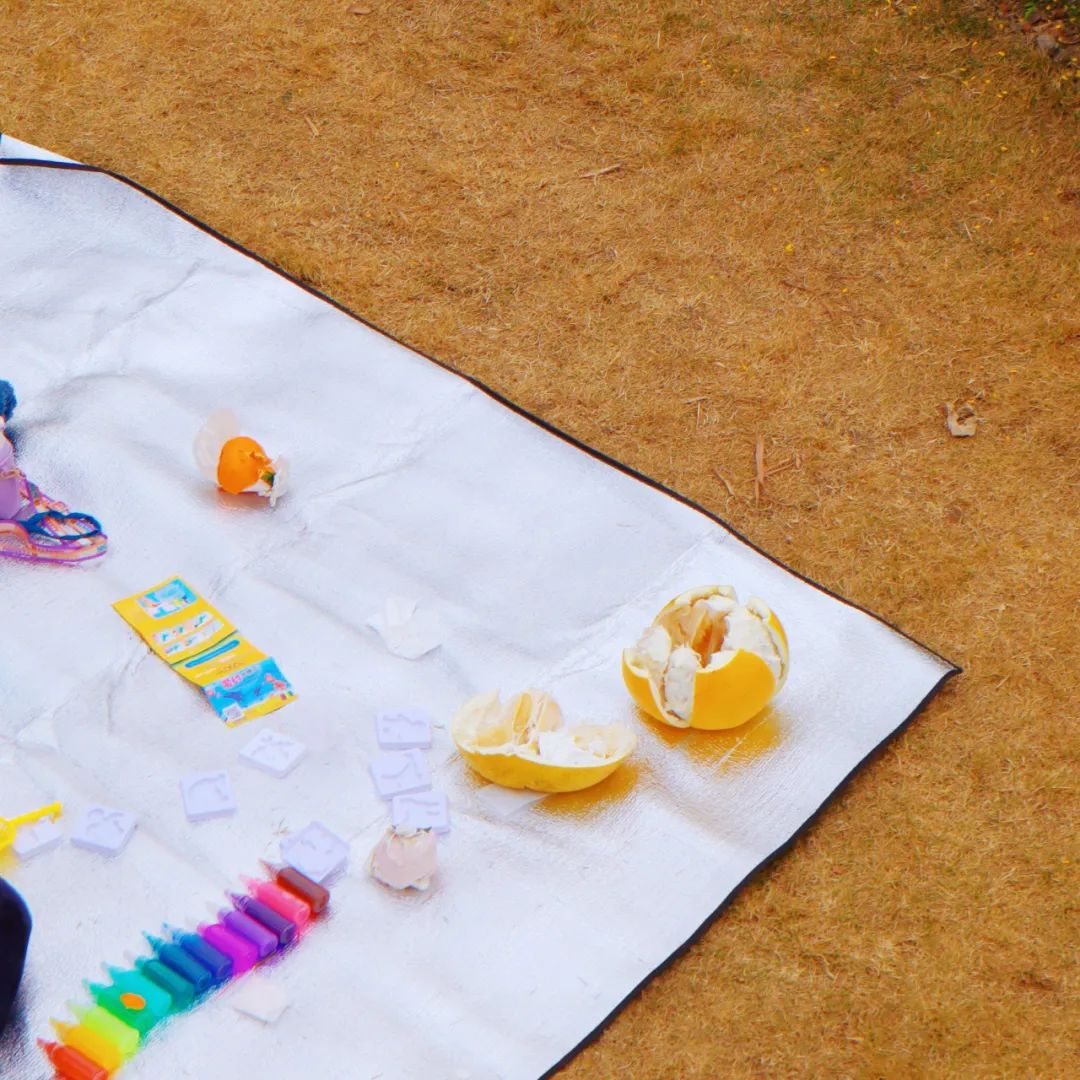 成都市区现实版桃花源记在哪里,成都公交可达的古镇