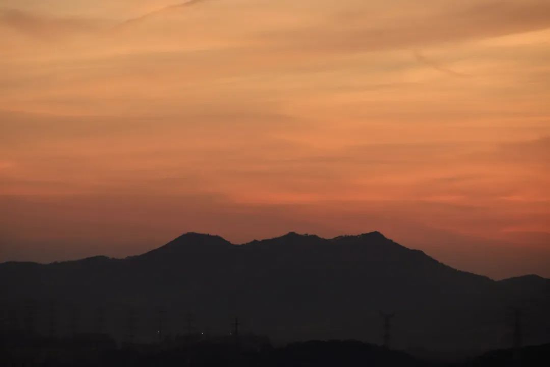 公众号做好了可以月入多少,公众号运营真实收入是什么