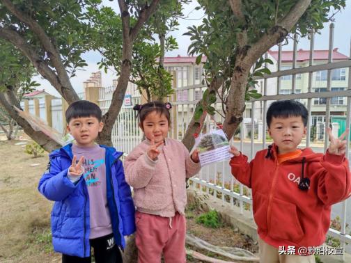 独山县城西童乐幼儿园:“春风十里,绿意萌动”