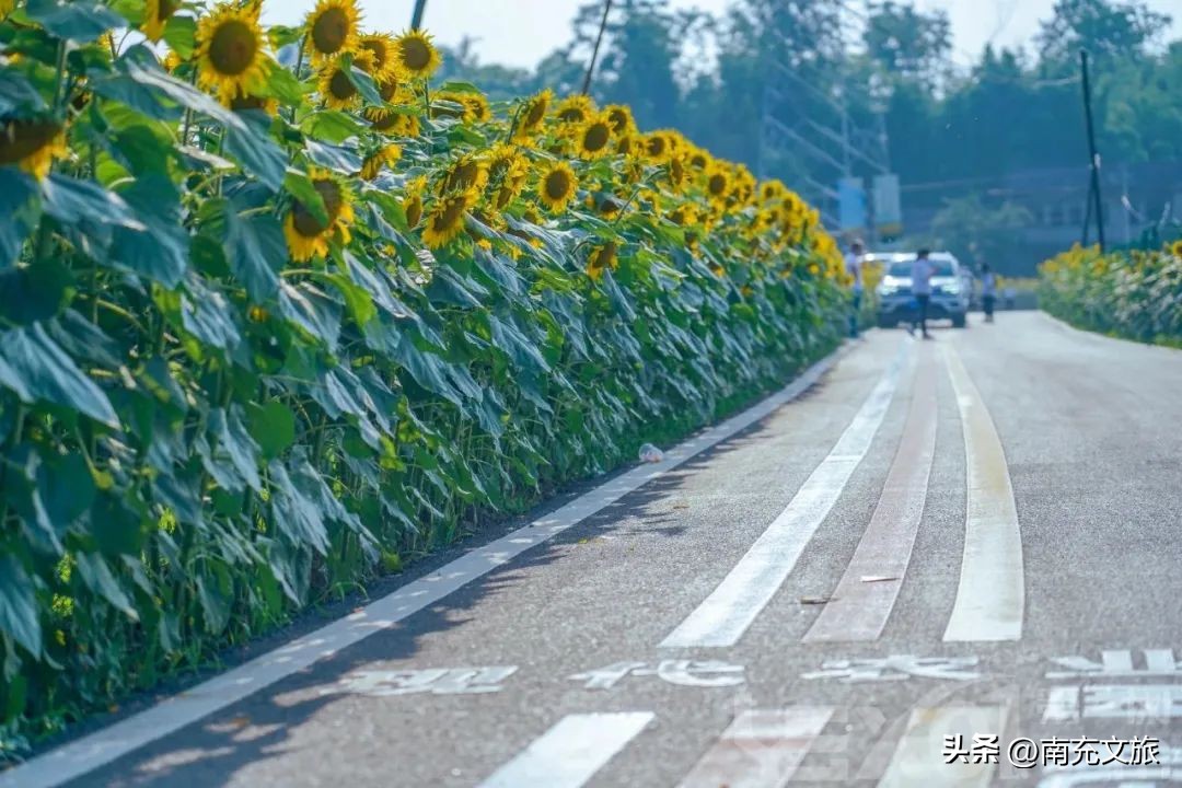 当南充美景遇上“多巴胺”这就是想象中夏天的样子！