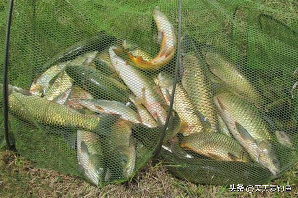 野钓如何找到鱼窝和钓位,钓鱼技巧野钓选钩方法大全