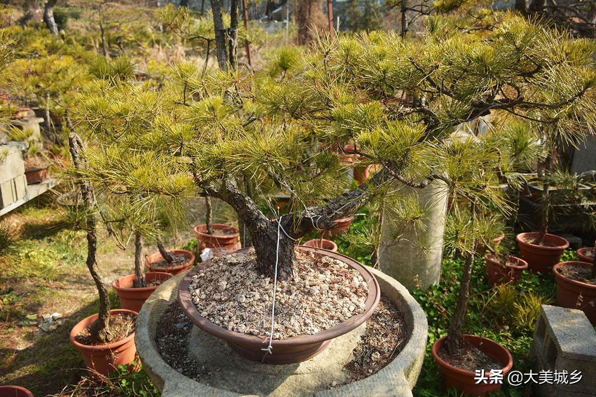 农村普通人做生意,农村人做点小生意不容易啊