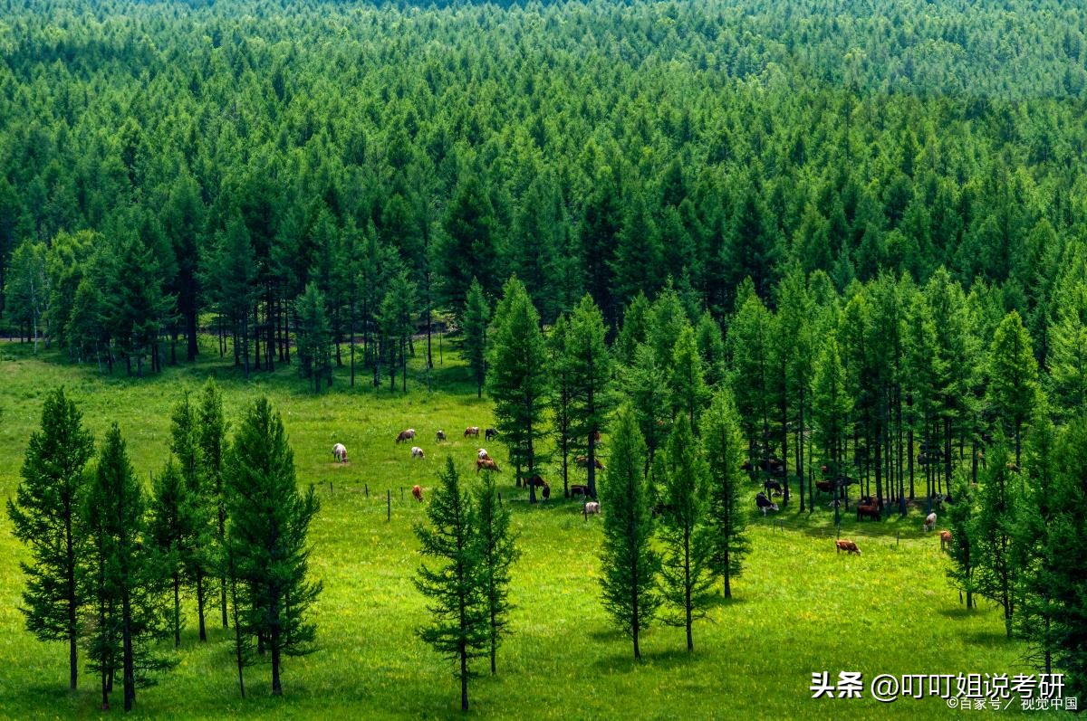 林业大学专业推荐,林业专业推荐