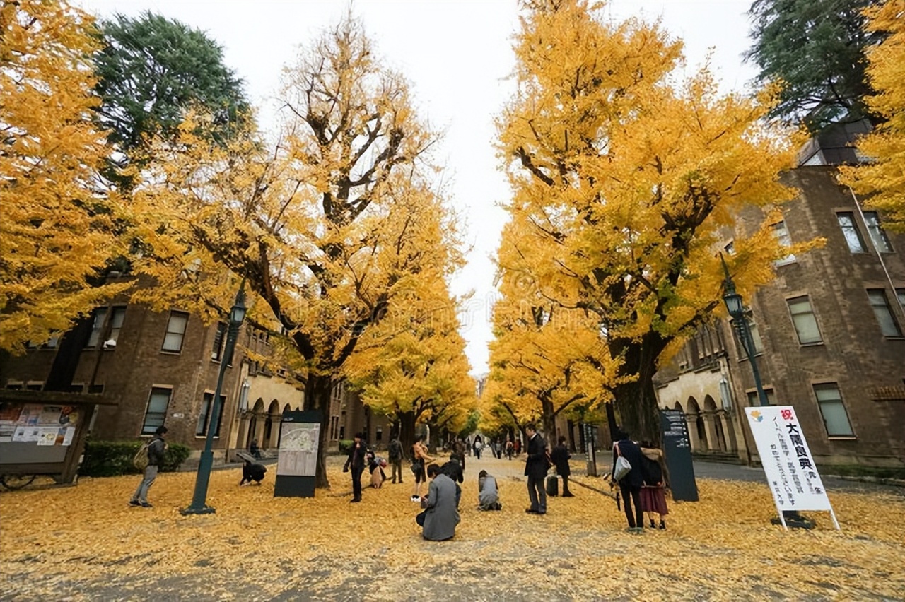 亚洲第一高校东京大学