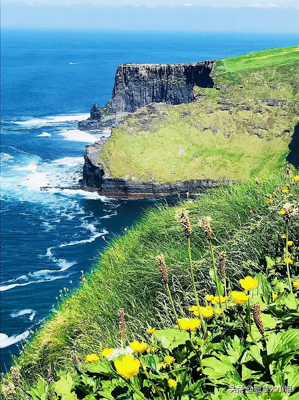 最绿的国家,最绿国家