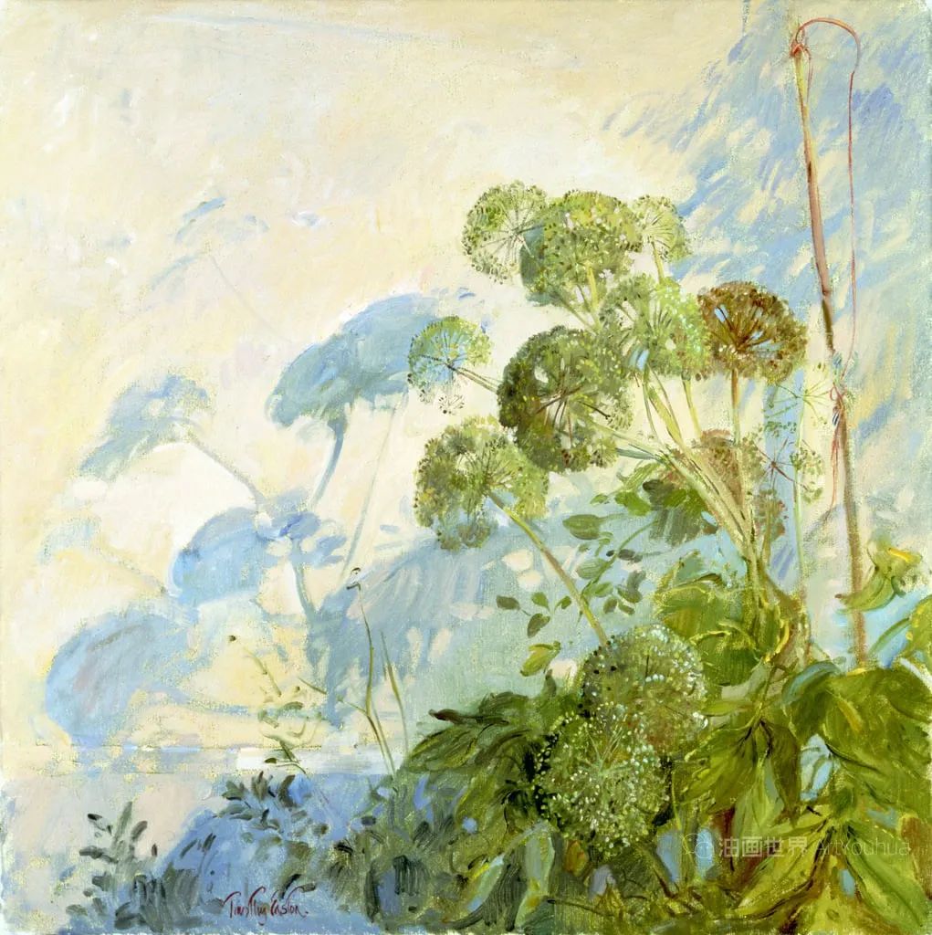 欧洲绝美花园,伦敦美丽的花园美景