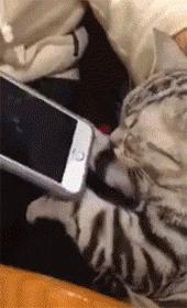 小蛇化身美杜莎,小蛇瞬间变成美杜莎