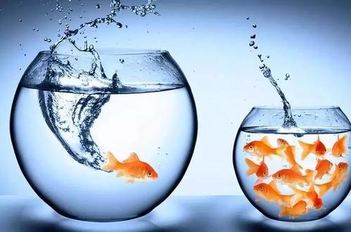 零售企业怎么实现数字化营销,如何做好新零售营销引流