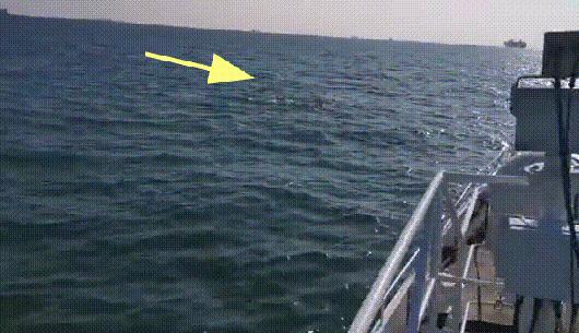 目前长江禁渔的状况,长江及其主要支流十年禁渔