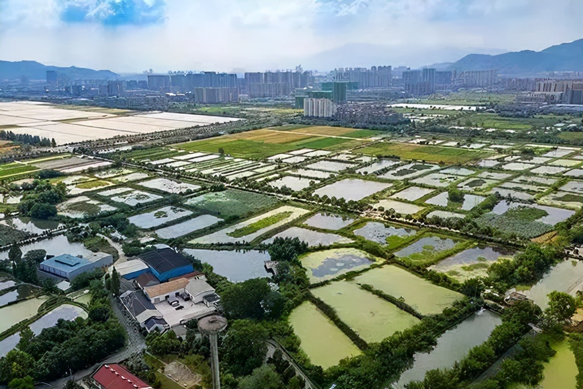 以前的富阳是怎么样的,富阳未来五年