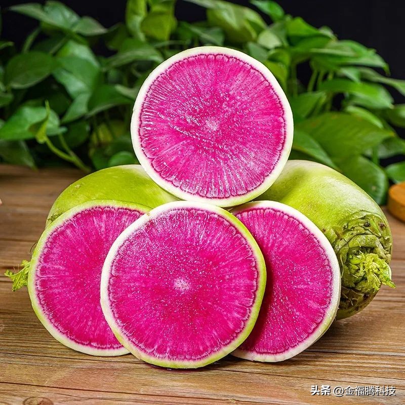 金玉园萝卜熟了~15日采摘期，清甜无辣，原汁原味，自然生长