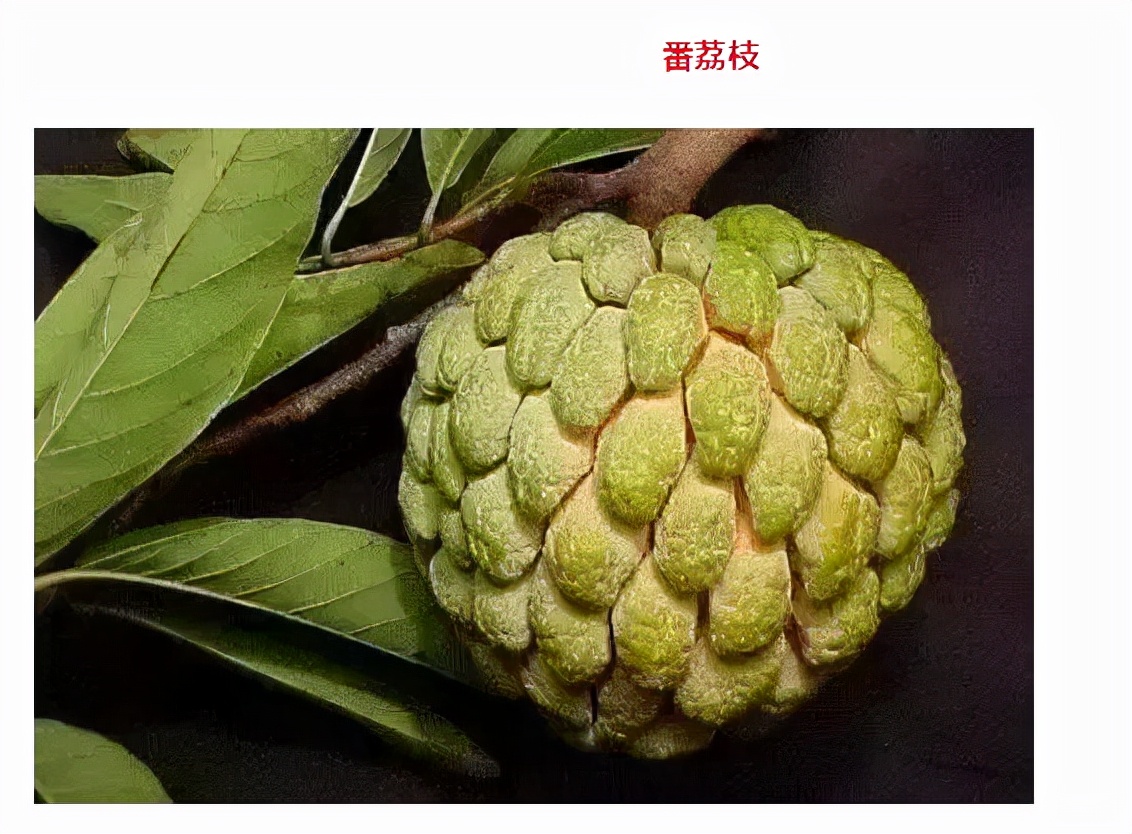 世界最好吃的水果十大排行,世界最营养又好吃的水果有哪些