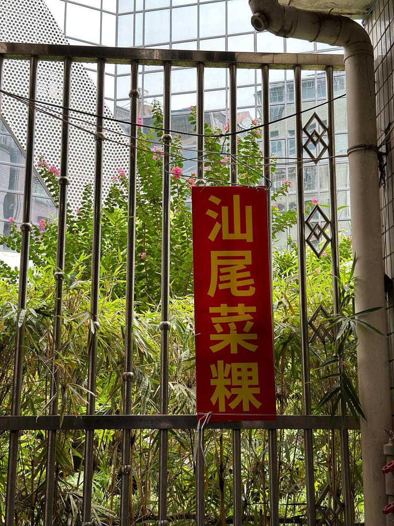 深圳向西周边美食,深圳向西村美食一条街