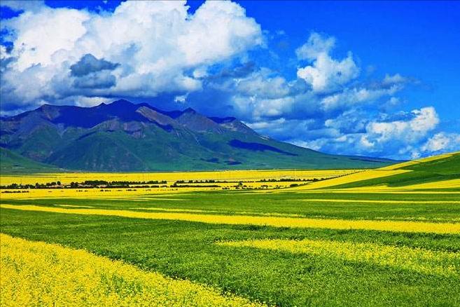 西北一座不起眼的县城,西北的一座小城镇