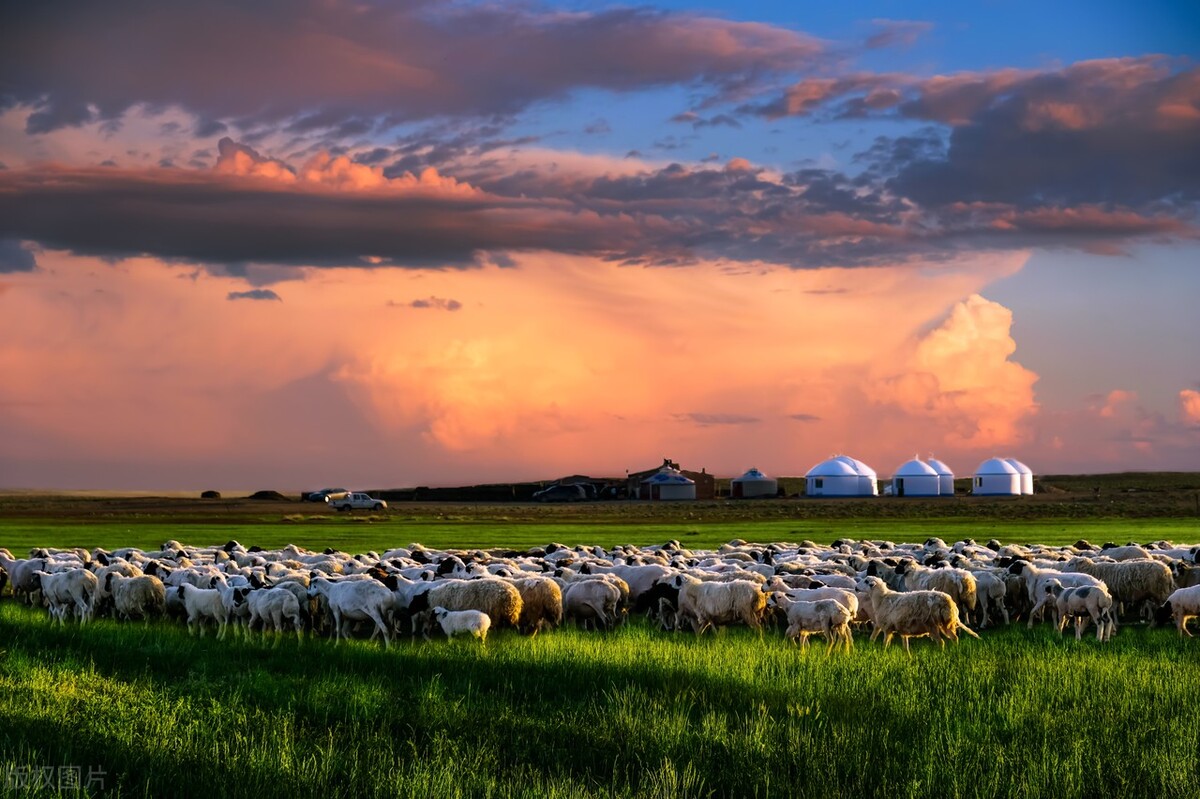 带你了解内蒙古旅游详细攻略,内蒙古旅游详细攻略