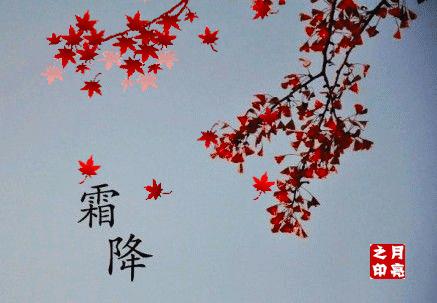 兔年最后一个节气,兔年日历节气