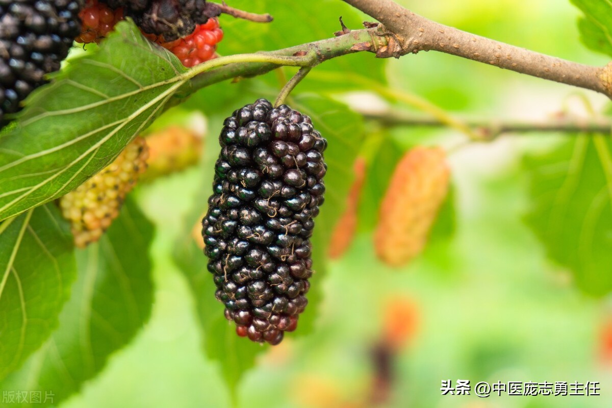 腔隙性脑梗,腔隙性脑梗就是小脑萎缩吗