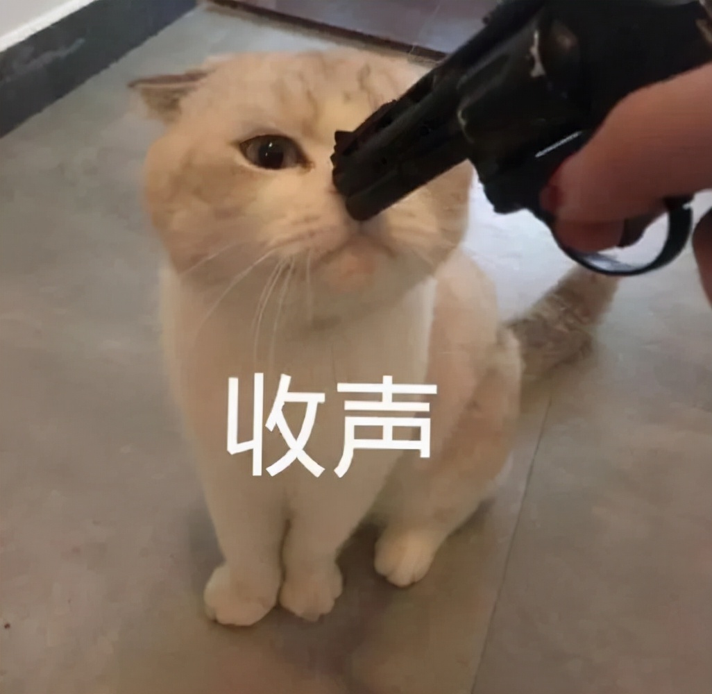 猫咪口臭原因,猫咪口臭如何防治视频教程