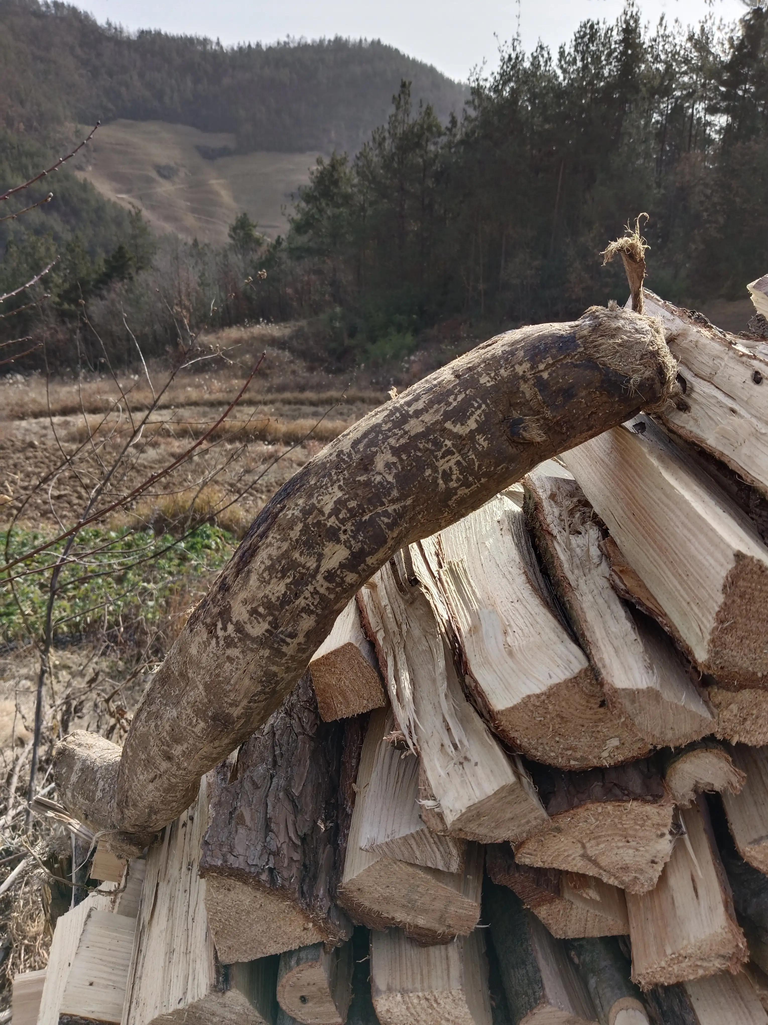 小时候割麦子挑水,小时候父亲割麦子