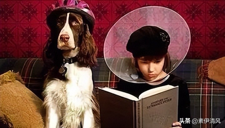 顶流吴亦凡跌落神坛到强奸犯，用了2年，“娱乐致死”何时止歇？