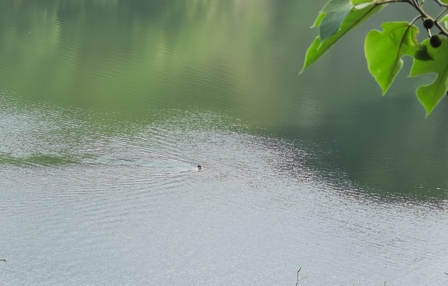 背包小鹰osprey,小鹰魔爪26背包功能详解