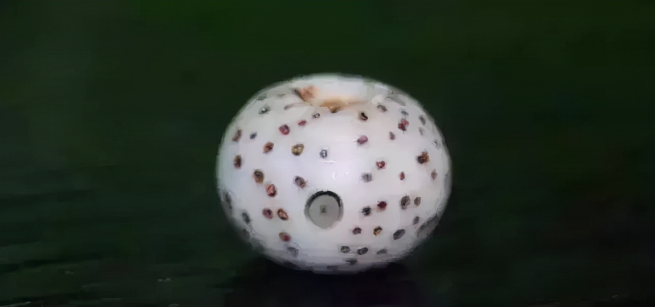 星月菩提有哪几种造型,星月菩提特殊造型