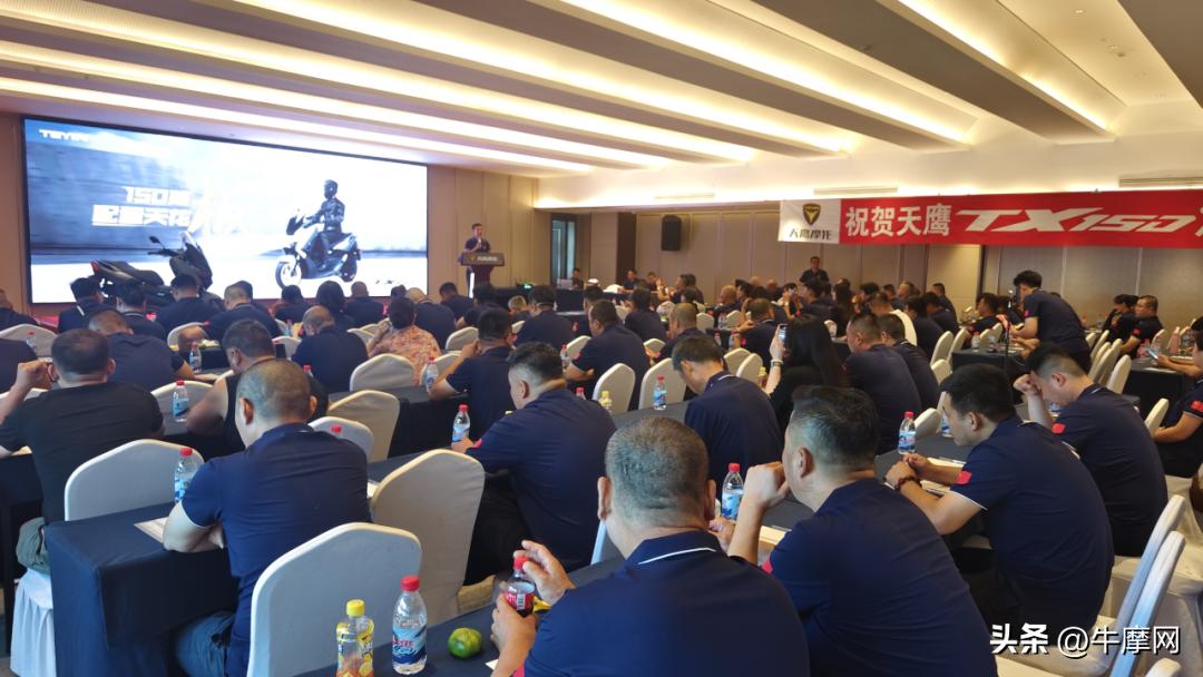 天鹰ts与tt跟tx150踏板区别,天鹰tx150上台阶