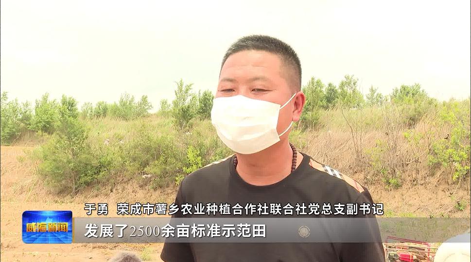 荣成乡村振兴样板,荣成乡村振兴示范区