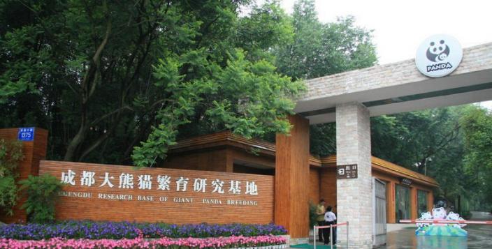 成都龙泉驿到大熊猫繁育研究基地,成都大熊猫繁育研究基地停车攻略