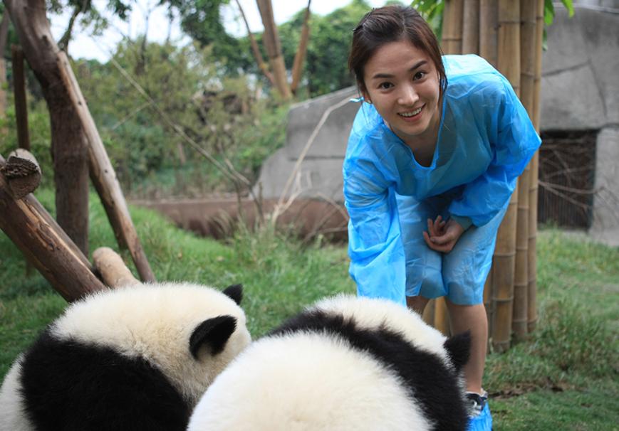 多位明星为国宝丫丫发声！黄晓明惹争议，身为熊猫大使出面太晚