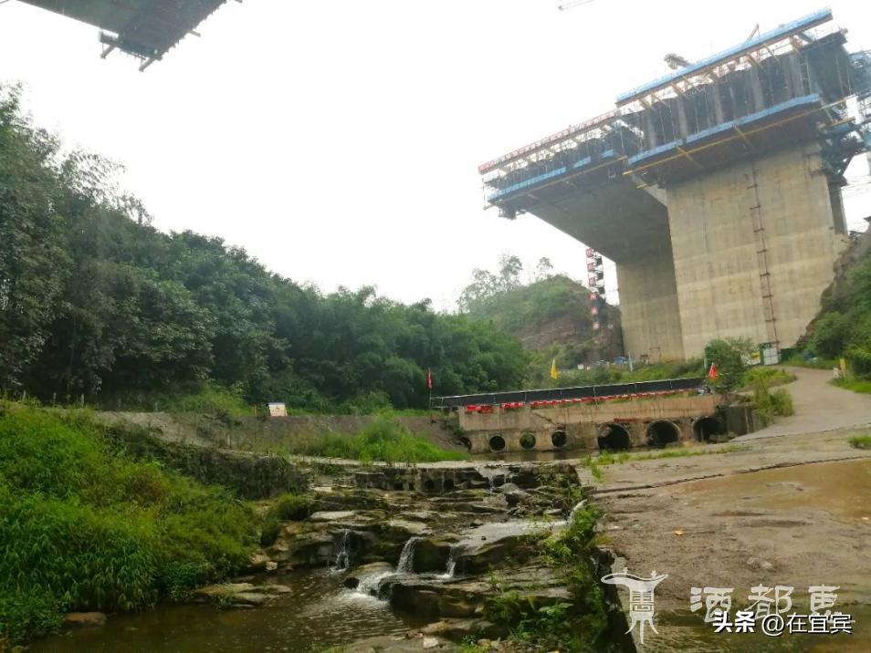 恐龙故乡黑龙江,四川的恐龙之乡