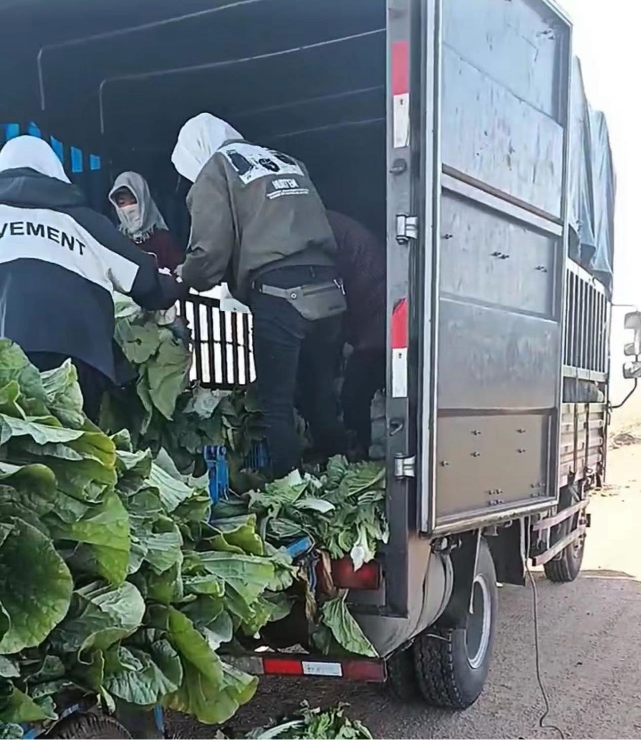 拉绿通卡友,拉绿通司机真实感受