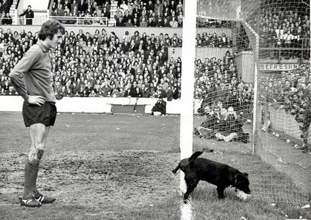 100个难得一见照片,火山爆发时的岩浆图片真实