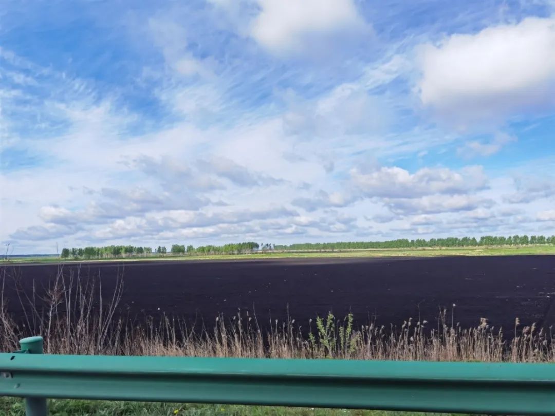 东北黑土退化的原因及措施,东北黑土退化的原因及治理措施