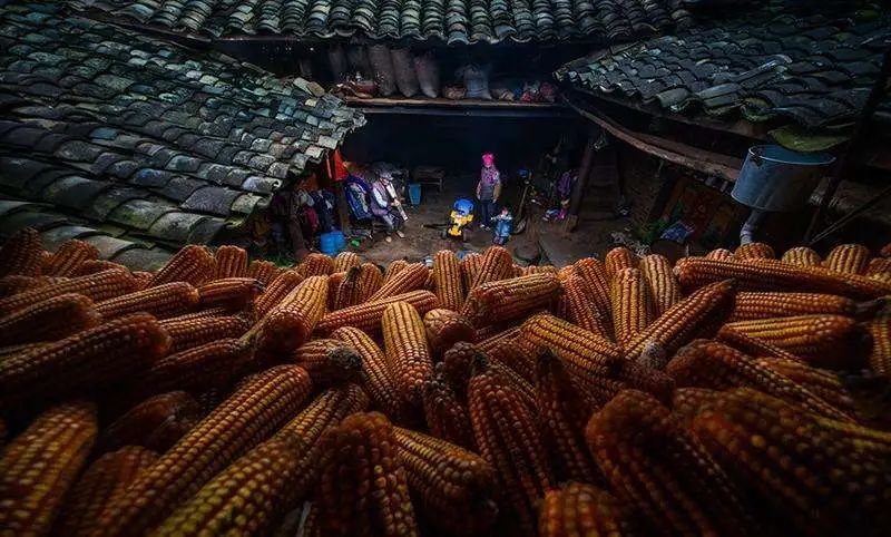 云南弥勒菜市场趣事：烟丝烟筒女人卖，妇女抱着烟筒抽