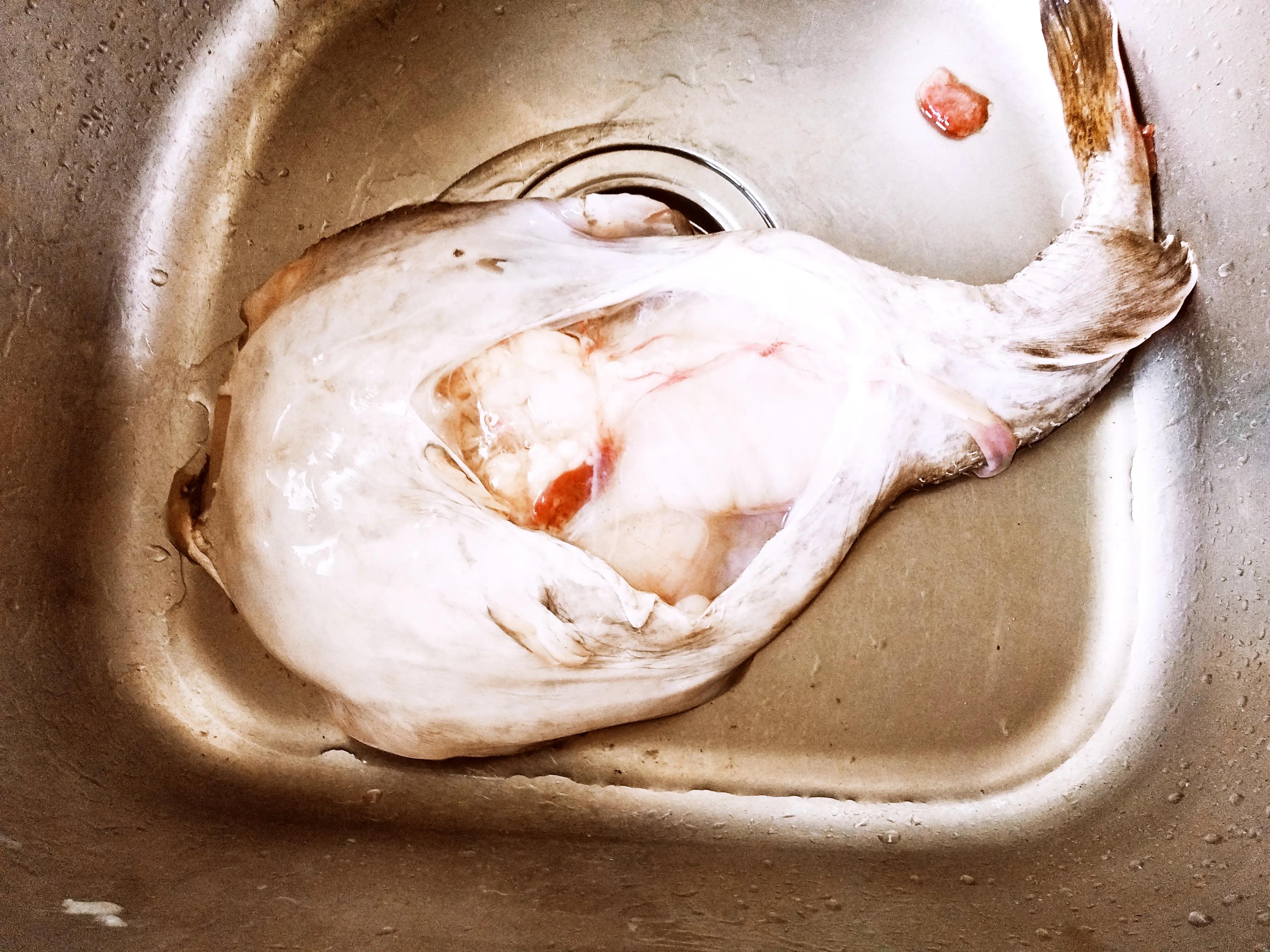 最便宜的8种海鱼,海鱼最便宜的有哪几种