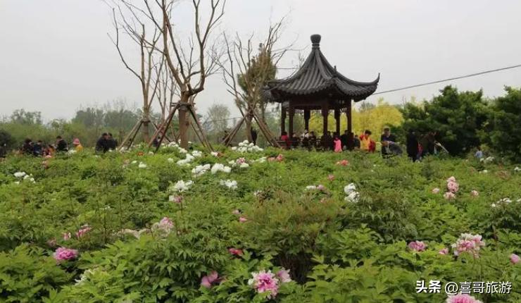 聊城值得一去的旅游景点,聊城有什么值得玩的地方